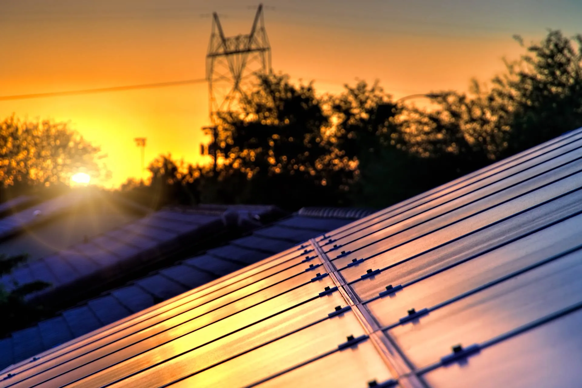 Solarmodule auf einem Dach im Abendlicht mit Strommast im Hintergrund